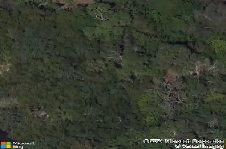 egret woods circle, seminole,  FL 33776