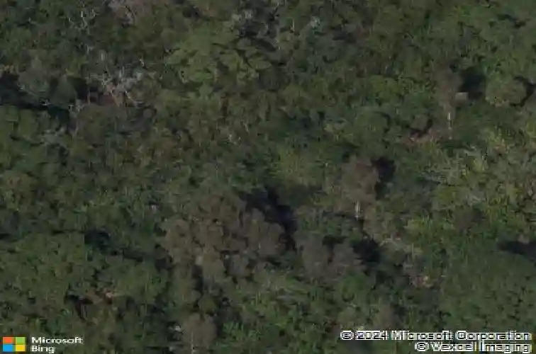 osceola court ne, st petersburg,  FL 33702