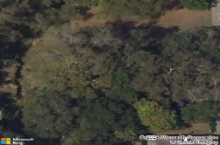 1703 12th st s, saint petersburg,  FL 33705