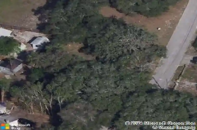 35 acacia st, tarpon springs,  FL 34689