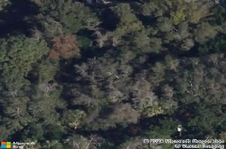 oleander drive, tarpon springs,  FL 34689