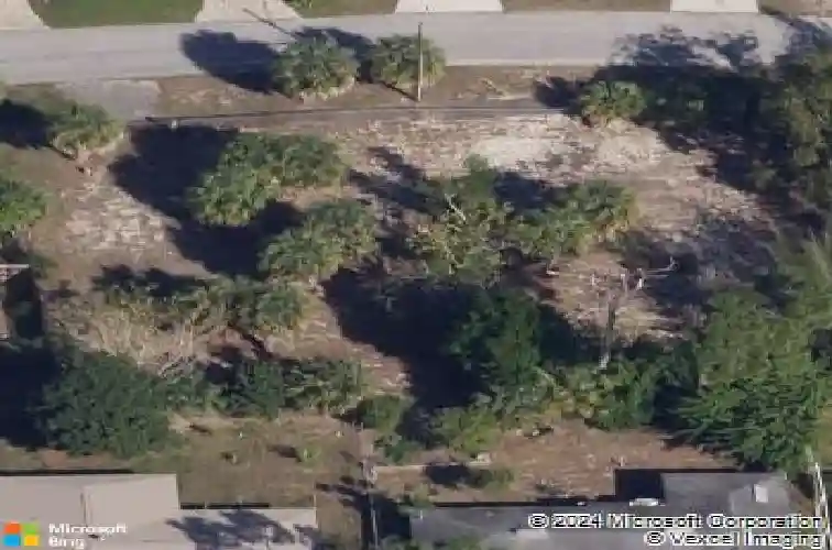 palm avenue, tarpon springs,  FL 34689