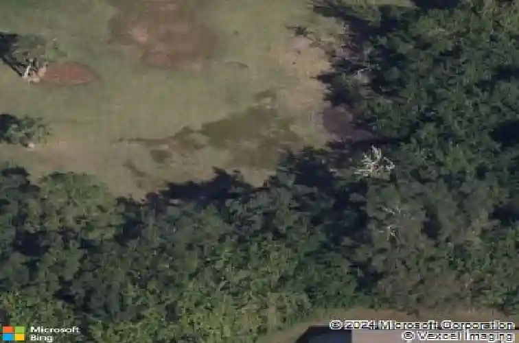 royal drive, tarpon springs,  FL 34689