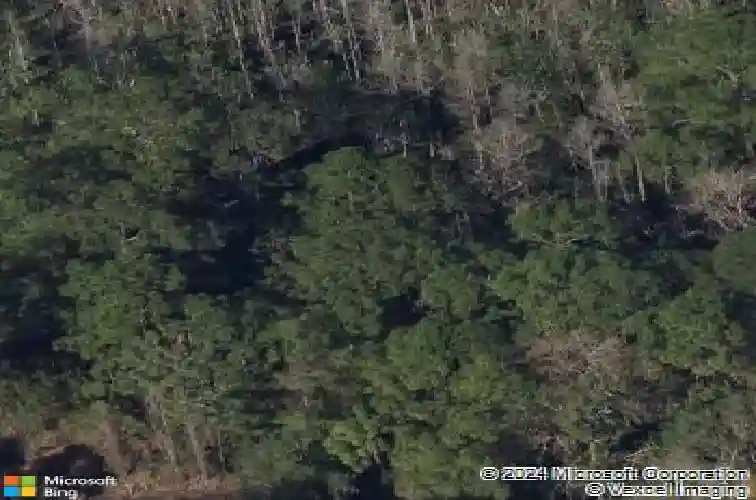 813 cypress trail, tarpon springs,  FL 34688