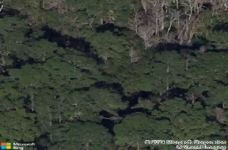 331 appaloosa rd, tarpon springs,  FL 34688