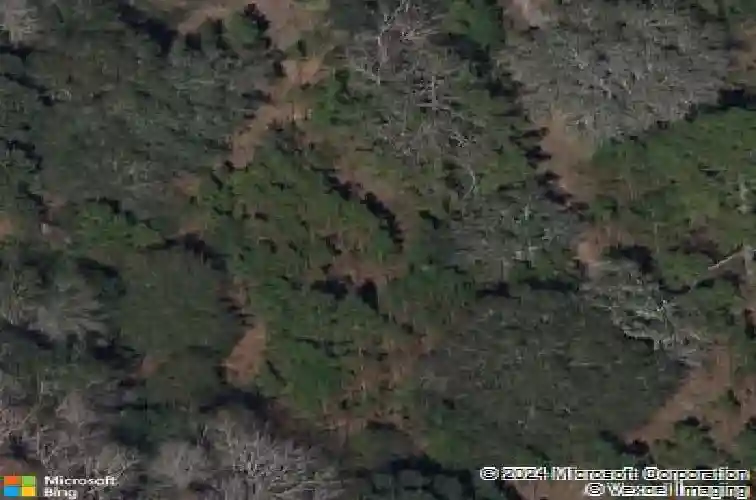 332 ranch rd, tarpon springs,  FL 34688