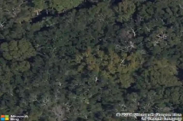 1150 s pinellas ave, tarpon springs,  FL 34689