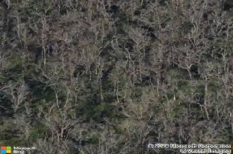 cypress trail, tarpon springs,  FL 34688