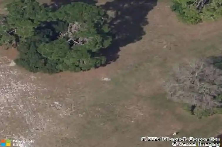 520 austin dr, tarpon springs,  FL 34688