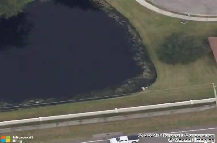 pinewood drive, oldsmar,  FL 34677