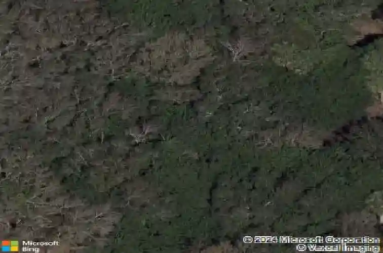 myrtle oak ln, seminole,  FL 33777