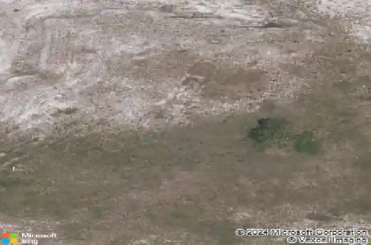 druid road e, clearwater,  FL 33756