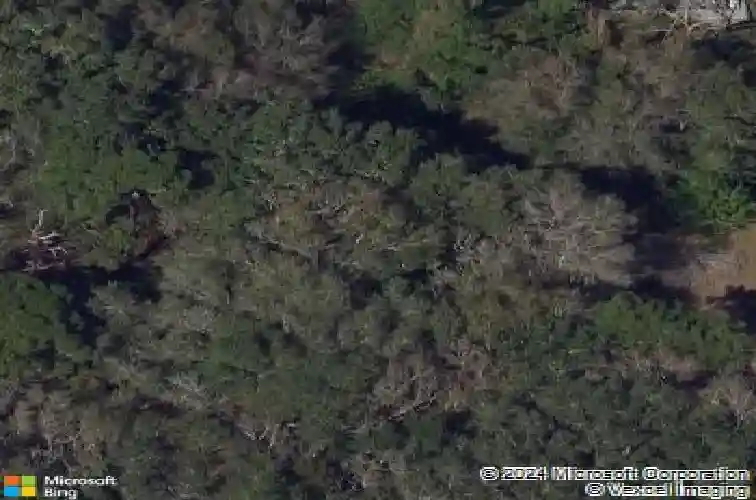 11050 59th street, pinellas park,  FL 33782