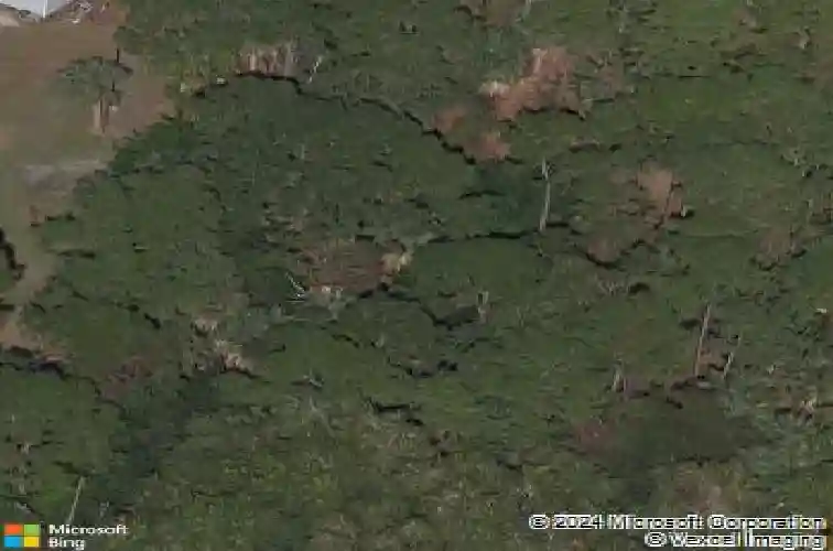 merino boulevard ne, st petersburg,  FL 33702