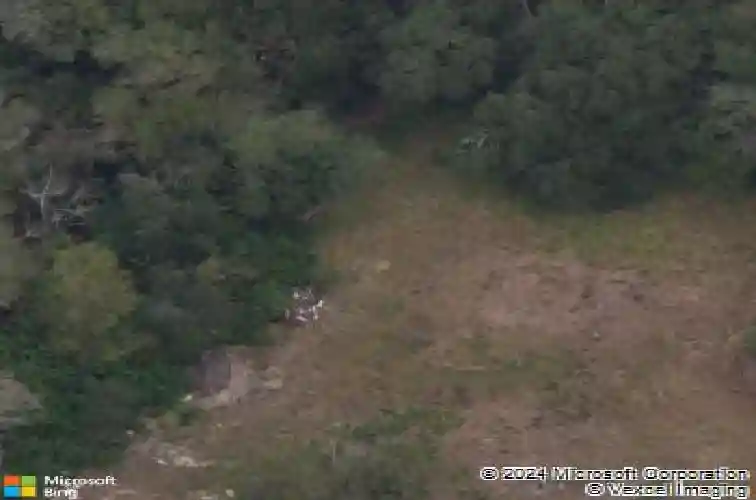 1803 cedar st, safety harbor,  FL 34695