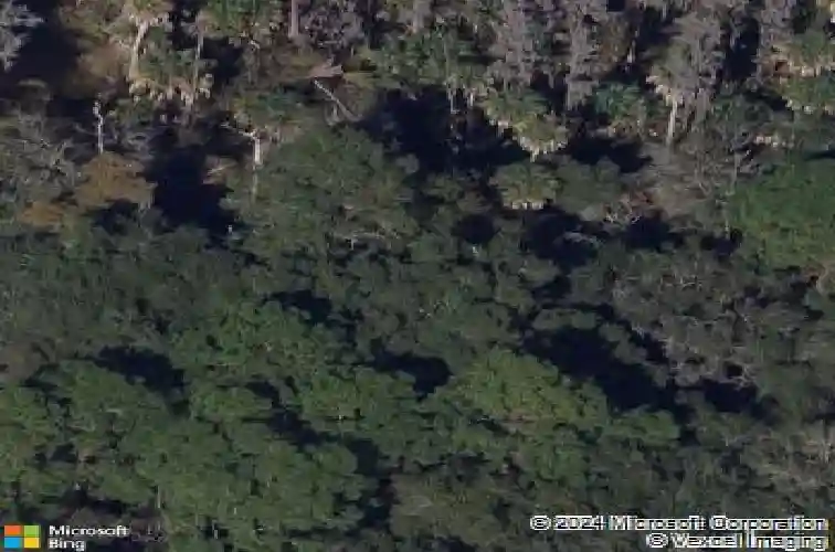 marshall street, safety harbor,  FL 34695