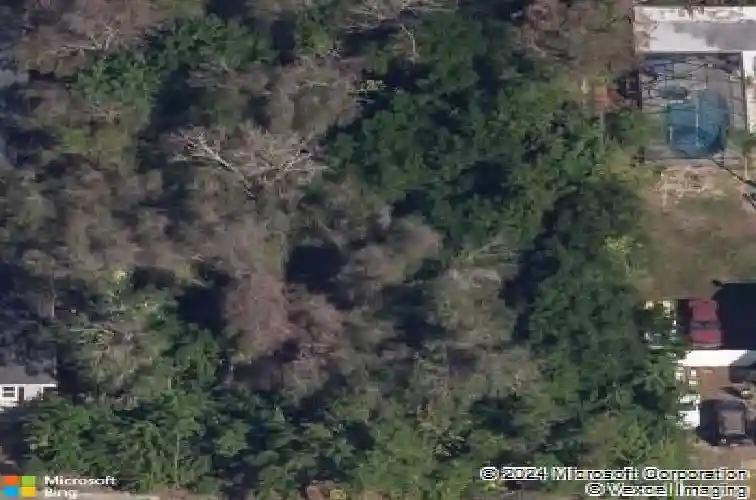 robin avenue, palm harbor,  FL 34683