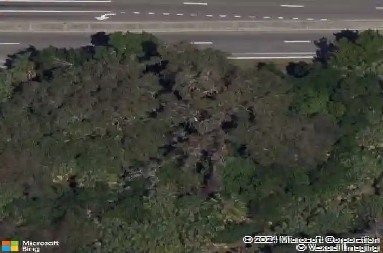 26th avenue s, st petersburg,  FL 33712