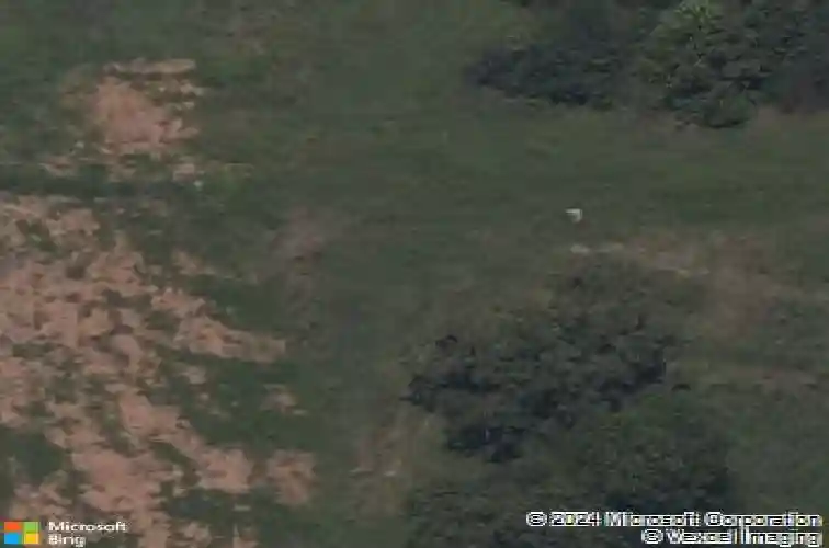 705 oriole dr, elm springs,  AR 72762