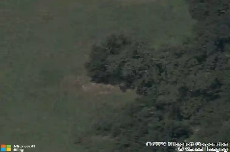 807 flycatcher trce, elm springs,  AR 72762