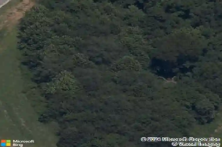 910 red oak loop, elm springs,  AR 72762