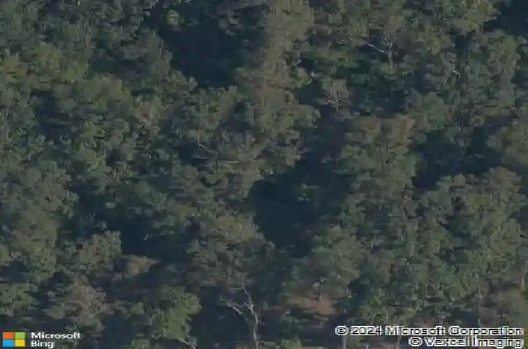 560 forrest dr, pea ridge,  AR 72751