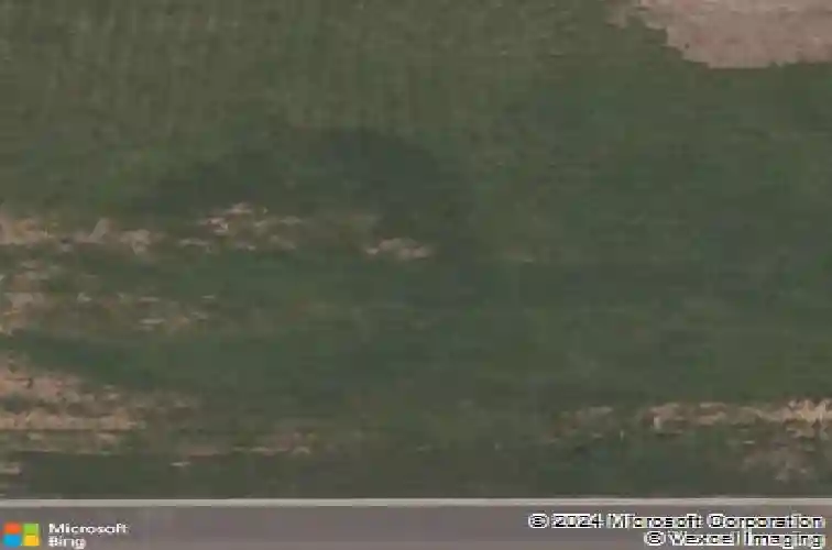 1281 elizabeth loop, bentonville,  AR 72713