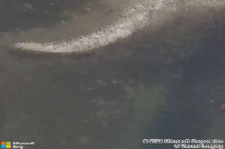 800 druid rd s, clearwater,  FL 33756