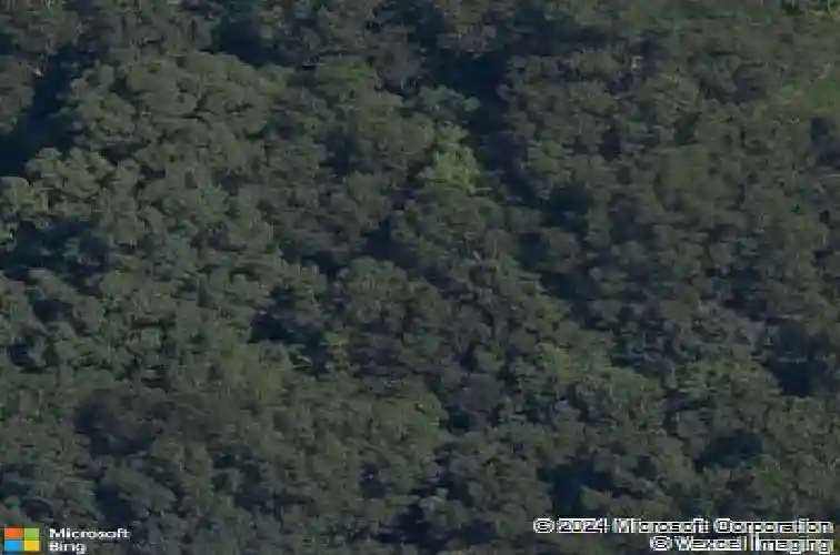 8871 lola jeane ln, rogers,  AR 72756