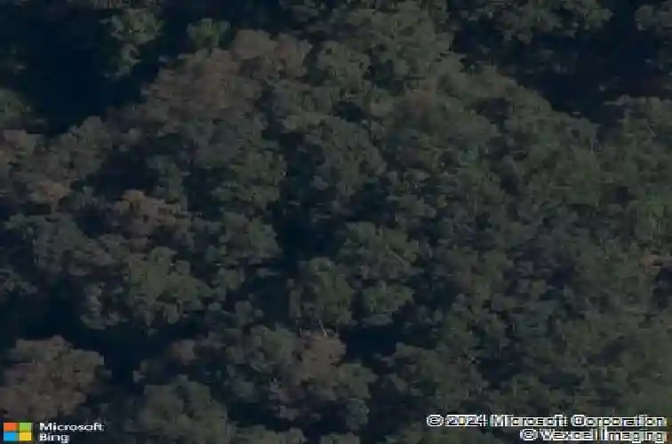 4002 ne miner ct, bentonville,  AR 72712