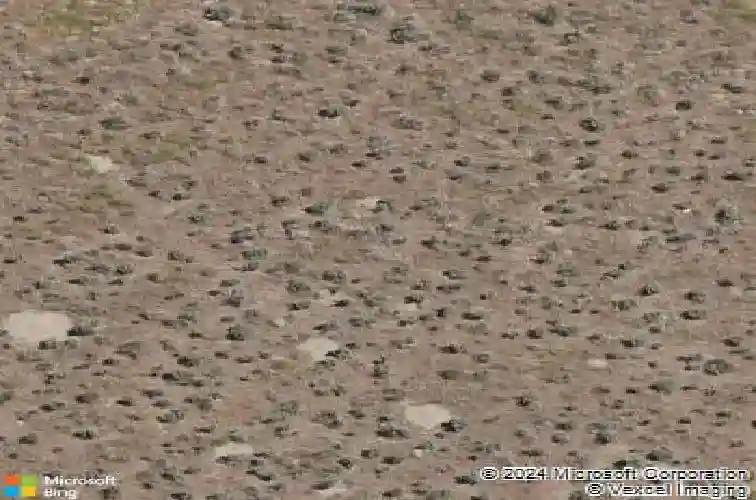 500 coulee meadow dr, sparks,  NV 89441