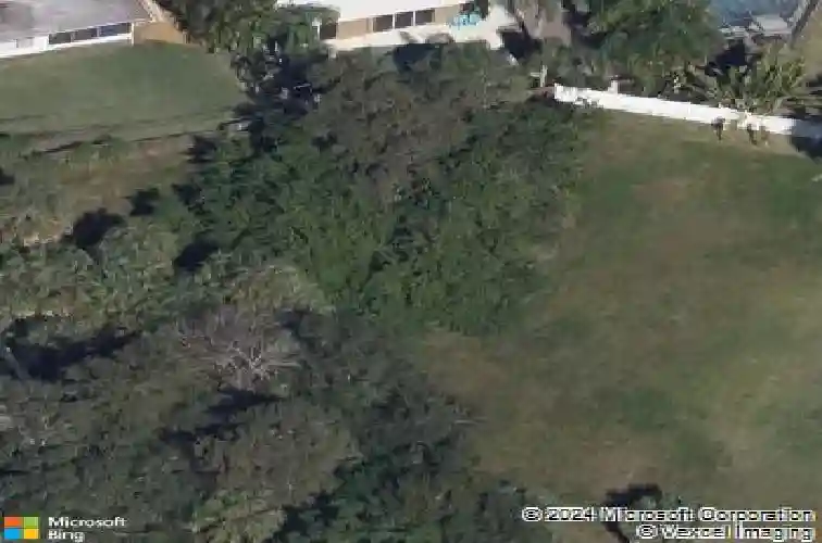 1964 cedar dr, dunedin,  FL 34698