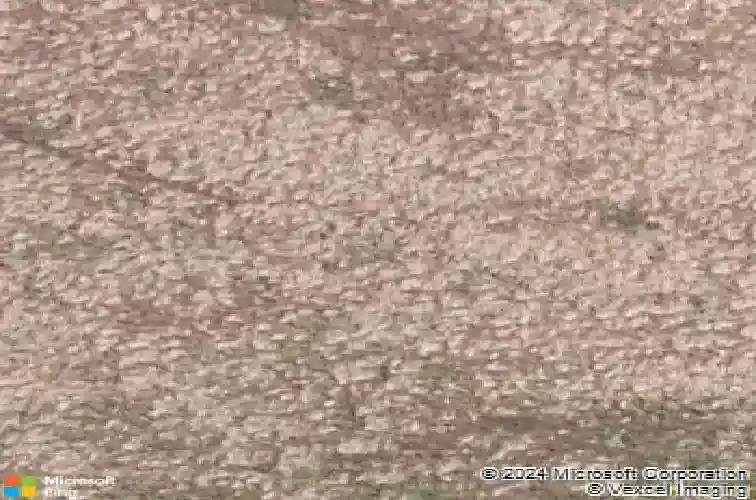 1261 bravestone ave, carson city,  NV 89703