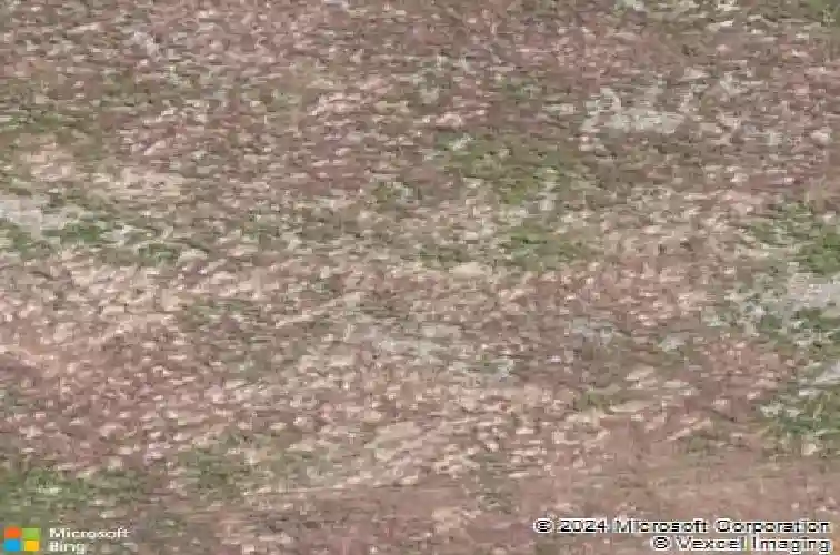 1325 lovelock street, carson city,  NV 89703