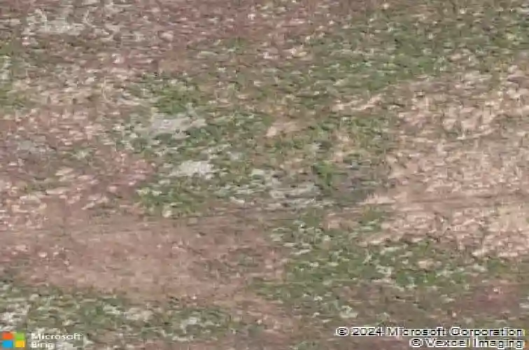 1278 driftwood st, carson city,  NV 89703