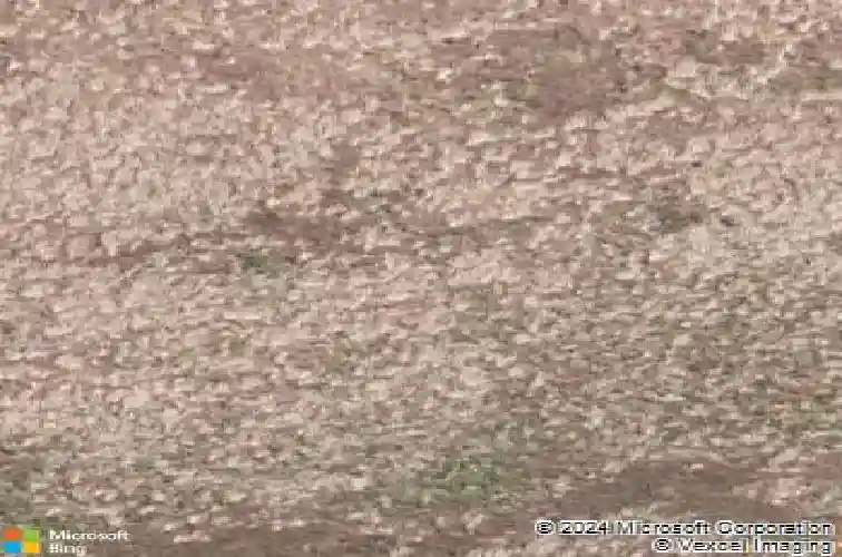 1207 bravestone ave, carson city,  NV 89703