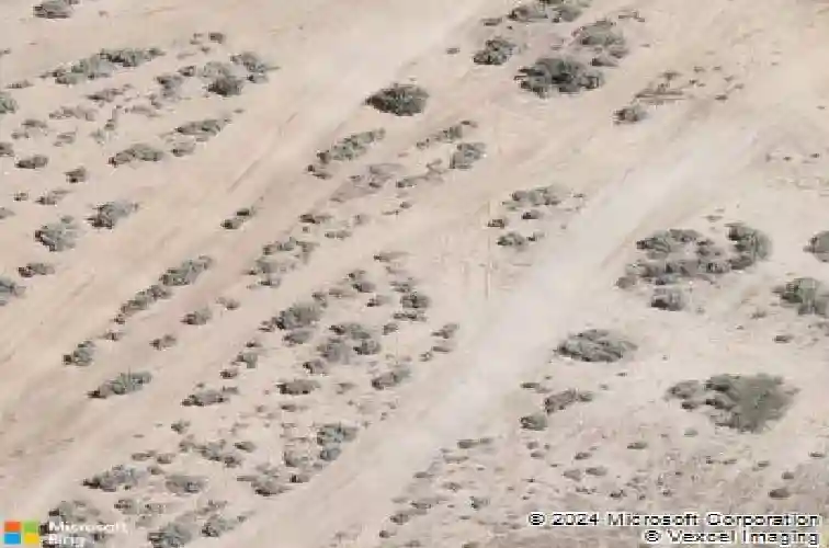 449 solaris ln, carson city,  NV 89705