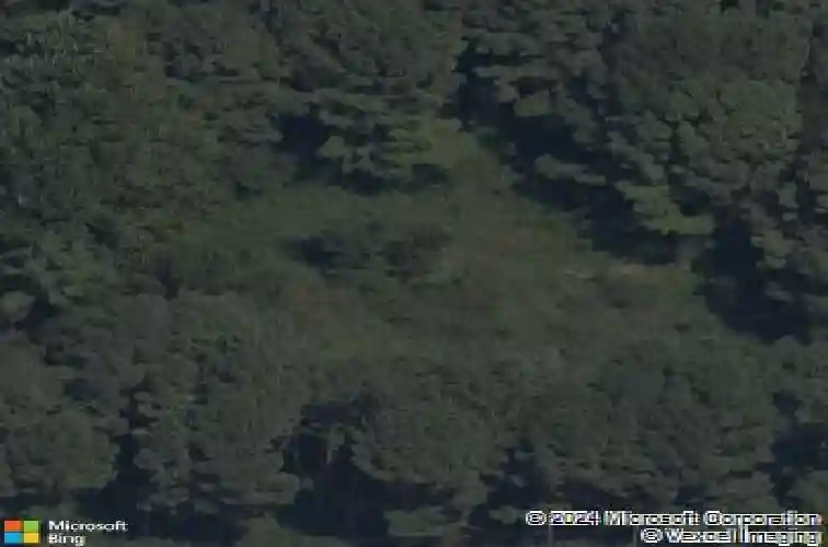 5302 sw tea olive ln, bentonville,  AR 72713