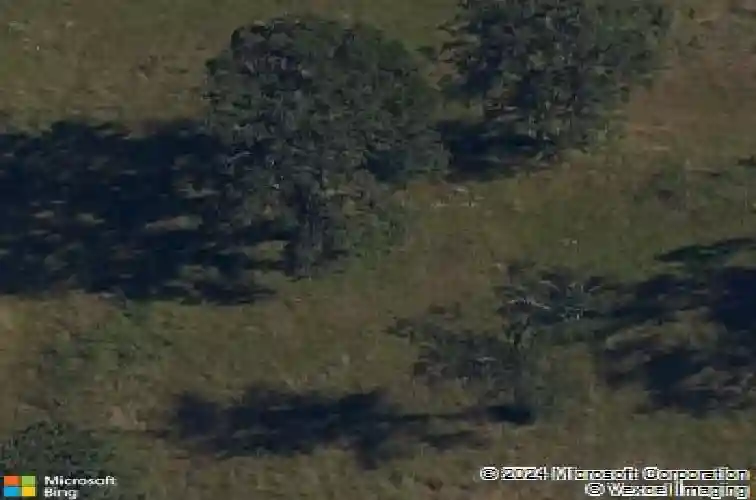 711 sun meadows loop, centerton,  AR 72719