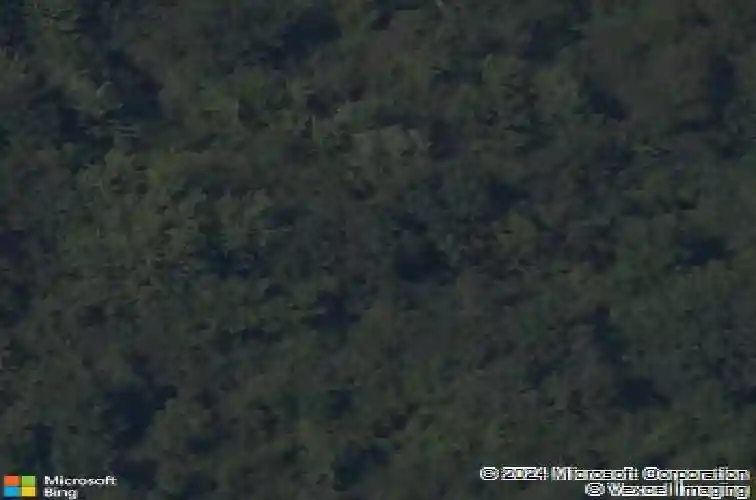 907 w cottonwood st, rogers,  AR 72758