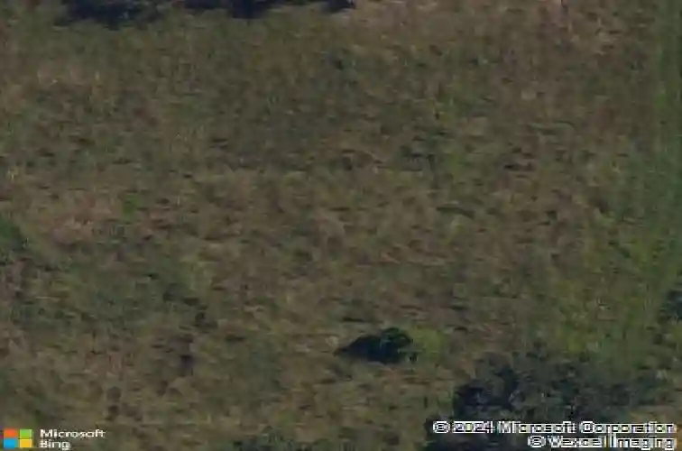 440 rainforest loop, centerton,  AR 72719