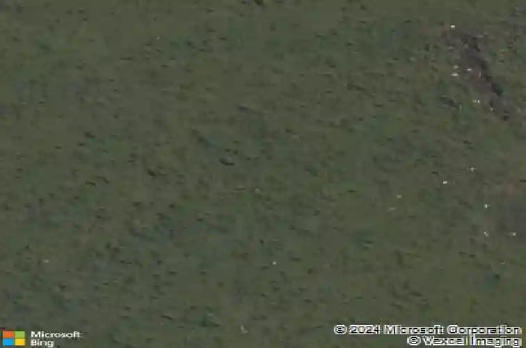 11686 schuster loop, springdale,  AR 72762