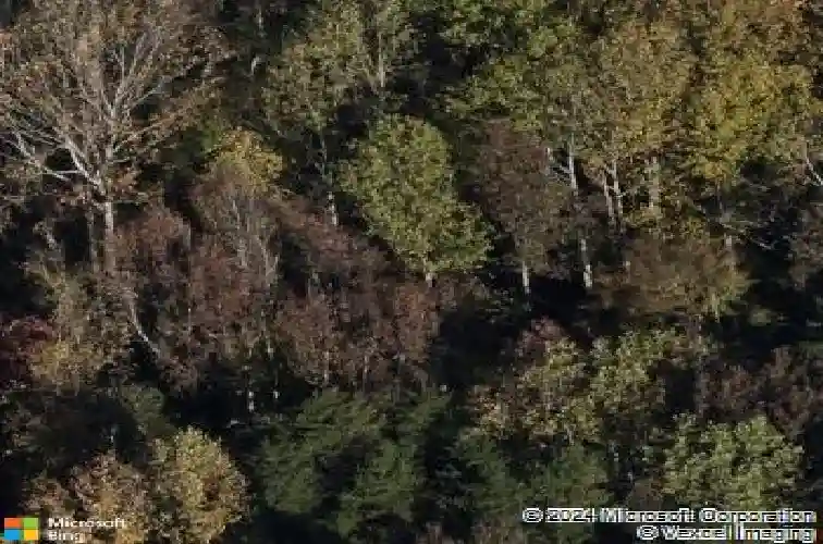  charlotte,  NC 28215