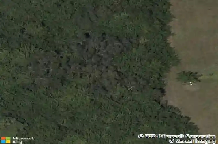 11232 beach walk way ne, saint petersburg,  FL 33716