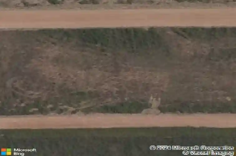 6807 autumn ave, springdale,  AR 72762