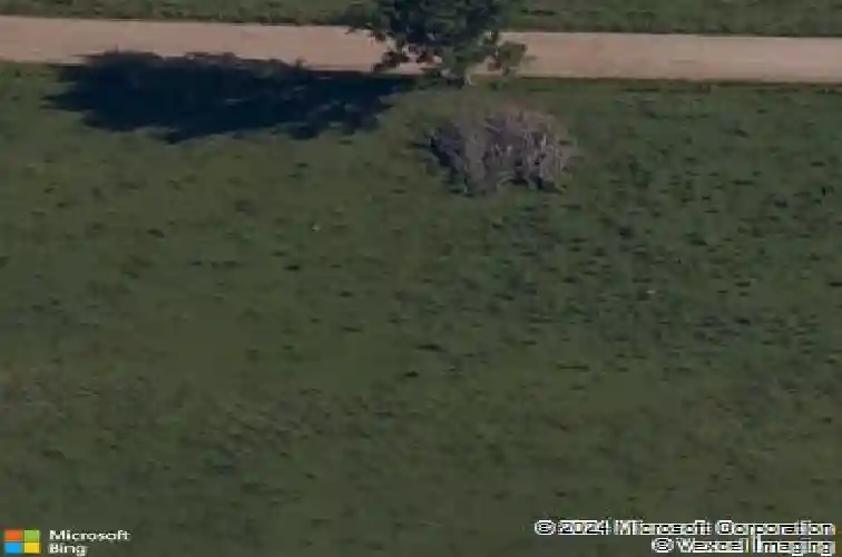 900 trestle ln, centerton,  AR 72719