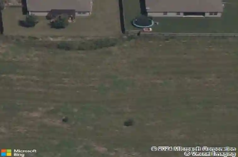 1251 pear blvd, centerton,  AR 72719