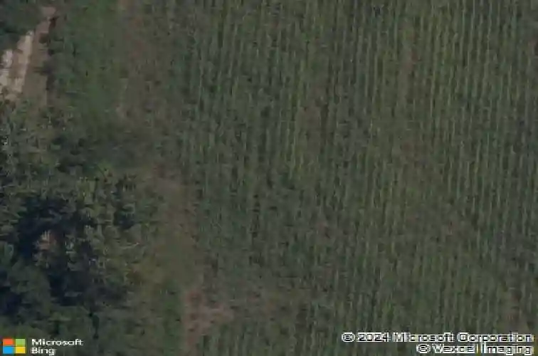 1221 leslie st, bentonville,  AR 72713