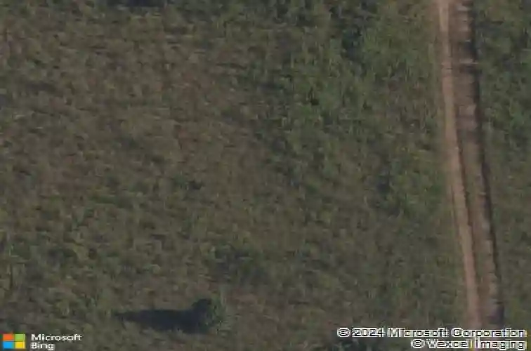 300 bronco st, centerton,  AR 72719