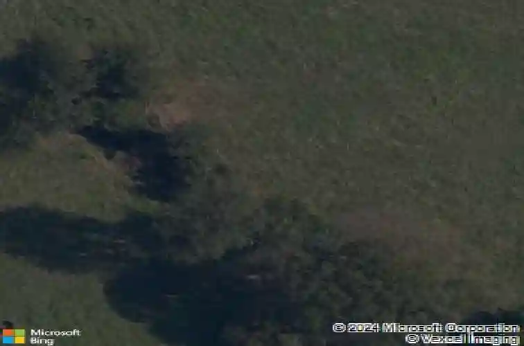 2229 crane ave, pea ridge,  AR 72751